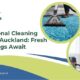 Professional Cleaning Services Auckland