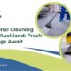 Professional cleaning services Auckland